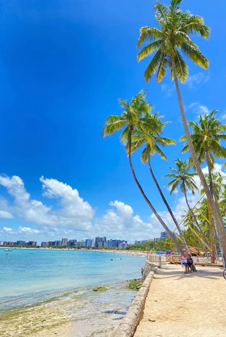 Coqueiros na orla de Maceió com o mar calmo e a faixa de prédios da praia ao fundo